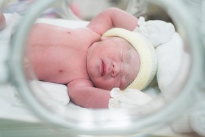premature babies survival rate